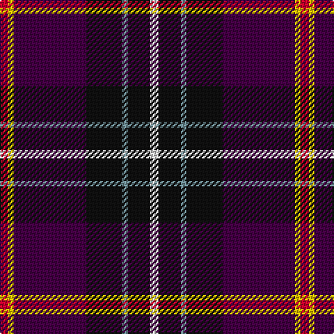 R/6 Y4 DP52 K26 LG4 K16 LN/6 tartan Tartan detail