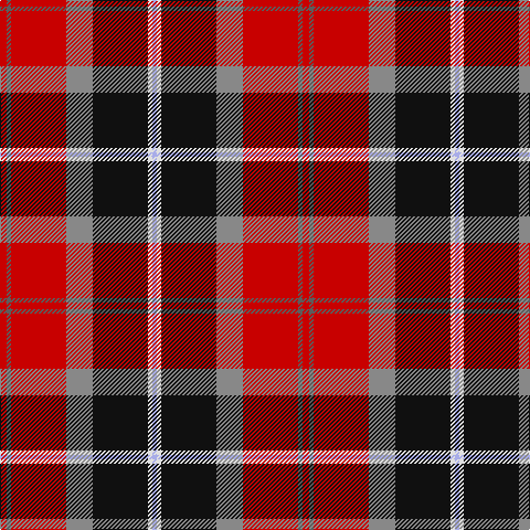 R/6 N4 R50 Na24 K50 LN4 LP/4 tartan Tartan detail