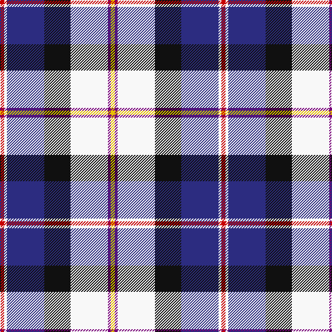 R/6 W4 DB54 K38 W54 P4 Y/6 tartan Tartan detail