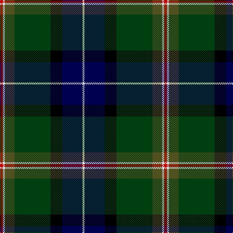 R/6 LN4 T20 DG74 K24 DB42 LN/4 tartan Tartan detail