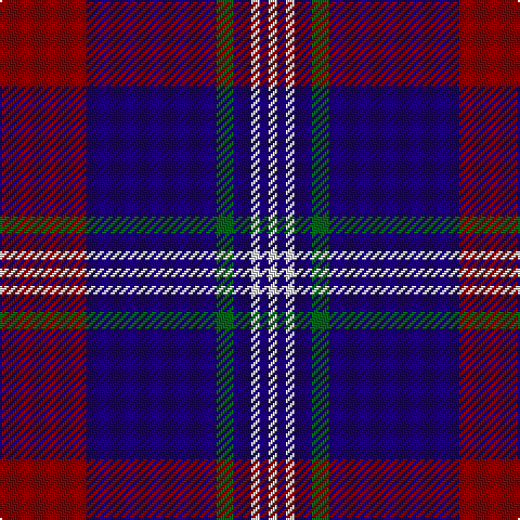 DR/40 DB60 G8 DB8 LN4 DB4 LN/4 tartan Tartan detail