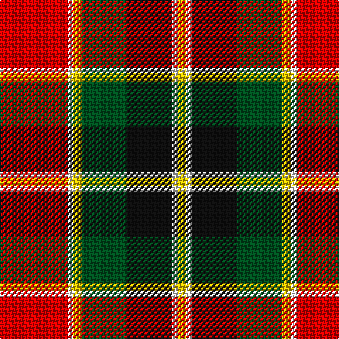 R/48 LN4 Y6 G32 K32 LN4 Y/6 tartan Tartan detail