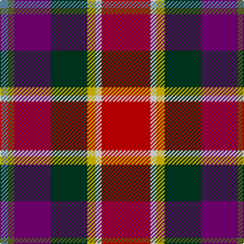 B/8 G6 P36 DG36 Y8 W6 R/48 tartan Tartan detail