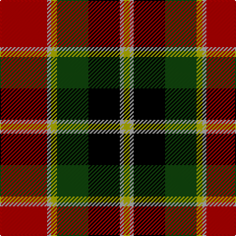DR/48 N4 LG6 DG32 K32 N4 LG/6 tartan Tartan detail