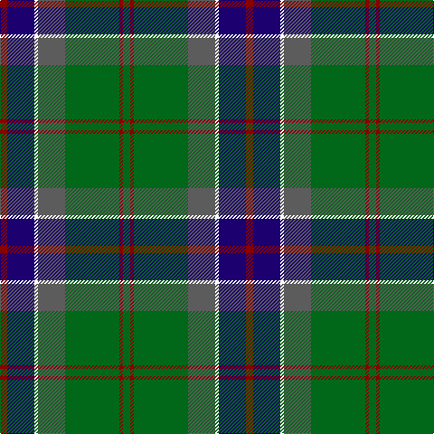 DR/8 DB30 W4 N30 G60 DR4 G/8 tartan Tartan detail