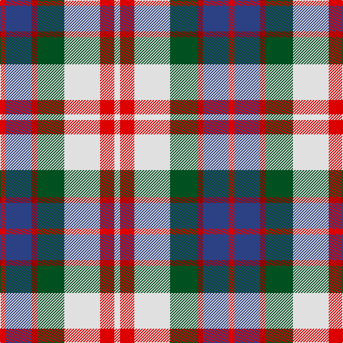 R/8 B36 DR8 G38 LN50 R20 LN/8 tartan Tartan detail
