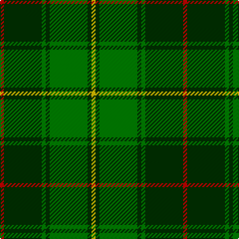 R/4 DG38 G4 DG4 G38 DG4 Y/4 tartan Tartan detail