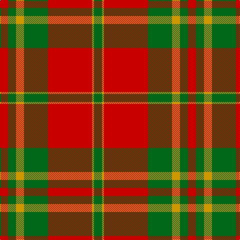 R/16 G16 DY16 G48 R88 DY4 G/16 tartan Tartan detail