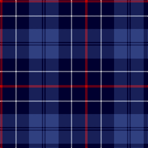 B/4 DB4 B42 DB40 LN4 DB42 R/8 tartan Tartan detail