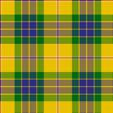 R/4 LN4 Y54 G28 Y4 DB28 Y/4 tartan Tartan detail