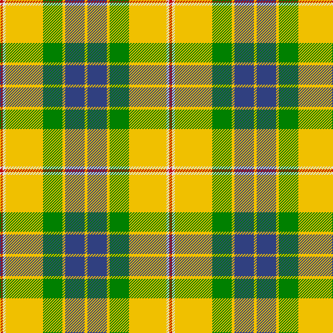 R/4 LN4 Y54 G28 Y4 B28 Y/4 tartan Tartan detail
