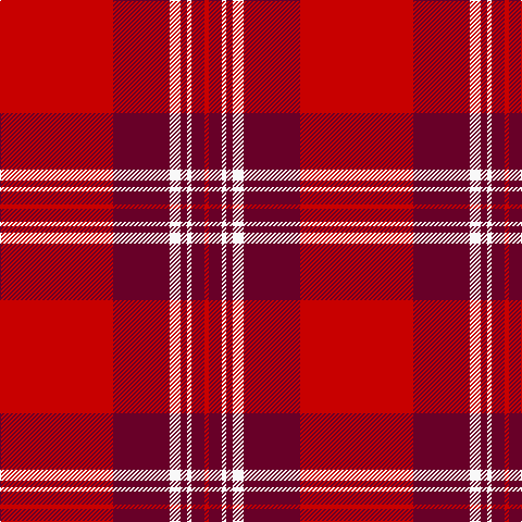 R/104 DR52 W10 DR6 W4 DR12 R/4 tartan Tartan detail