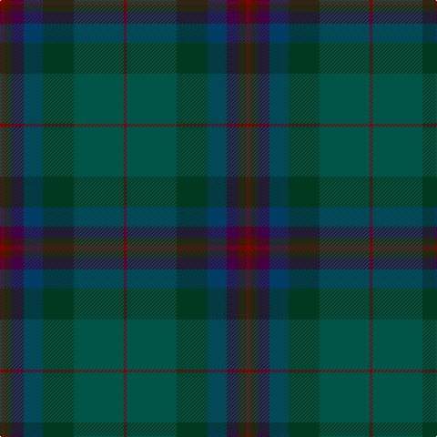 DR/5 DRa8 DP13 DB21 DG34 G55 DR/3 tartan Tartan detail