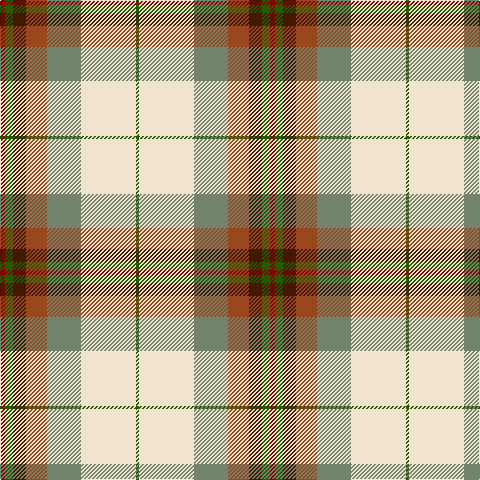 DRa/5 G8 DR13 T21 N34 W55 G/3 tartan Tartan detail
