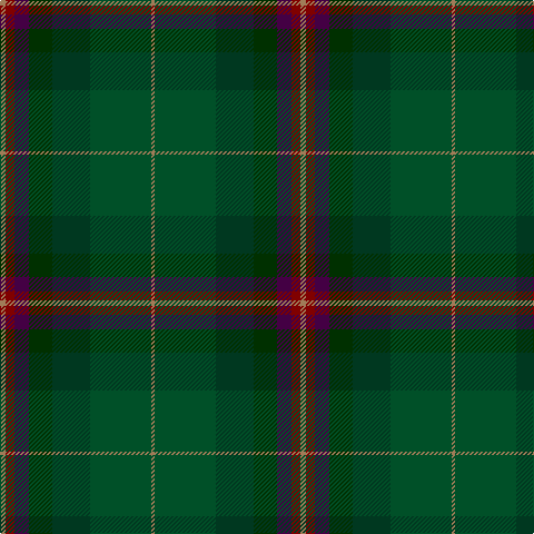 LT/5 DR8 DP13 DG21 DGa34 G55 LT/3 tartan Tartan detail