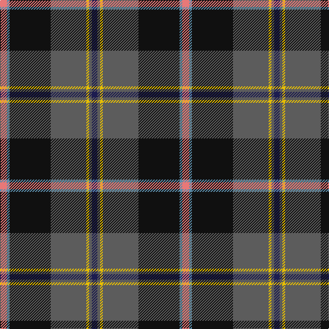 LR/10 B4 K60 N52 Y4 N4 DB/8 tartan Tartan detail