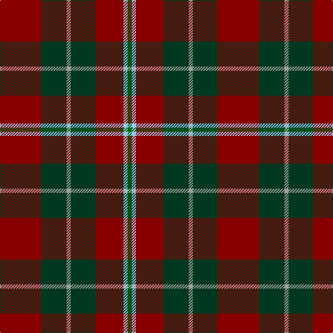 DR/60 DG36 N6 DG36 DR40 LB6 G/6 tartan Tartan detail