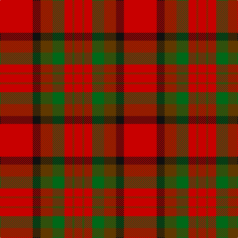 R/66 K16 T24 G24 R16 T4 R/16 tartan Tartan detail