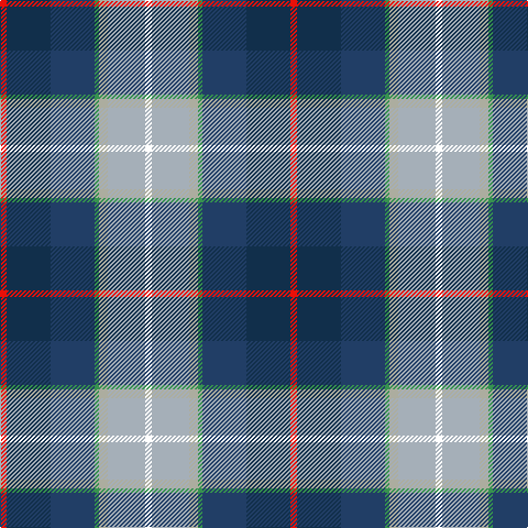 R/6 DN40 DB40 G4 Na8 N34 W/6 tartan Tartan detail