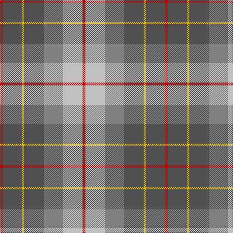 R/6 N40 Y4 N40 Nb40 Na40 R/6 tartan Tartan detail
