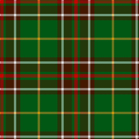 R/12 G8 DR28 LN8 DR14 G60 DY/8 tartan Tartan detail