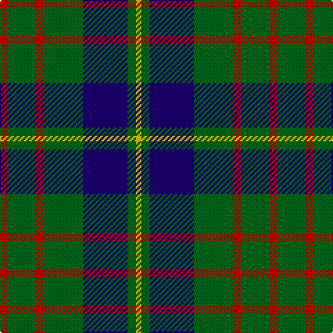 R/6 G20 R6 G28 DB32 G6 Y/4 tartan Tartan detail