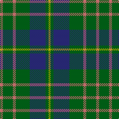 LR/6 G20 LR6 G28 DB32 G6 Y/4 tartan Tartan detail