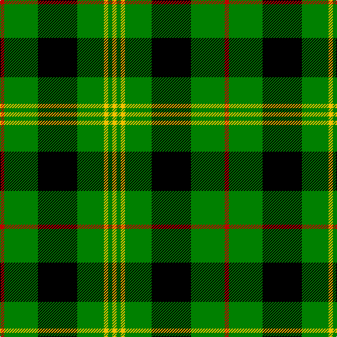 R/6 G48 K56 G38 Y6 G6 Y/6 tartan Tartan detail