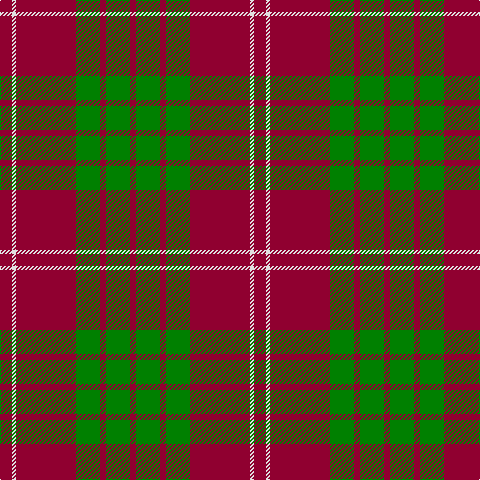 DR/12 LN4 DR60 G24 DR6 G24 DR/6 tartan Tartan detail