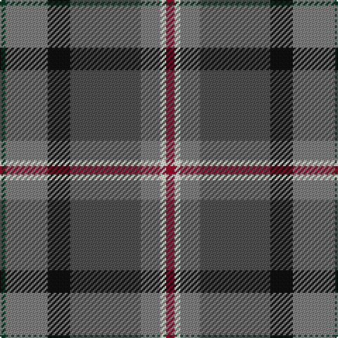 DG/4 N30 K16 Na50 N14 LY4 DR/6 tartan Tartan detail