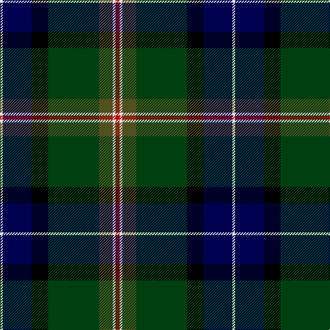 LN/4 DB42 K24 DG74 T20 LN4 R/6 tartan Tartan detail