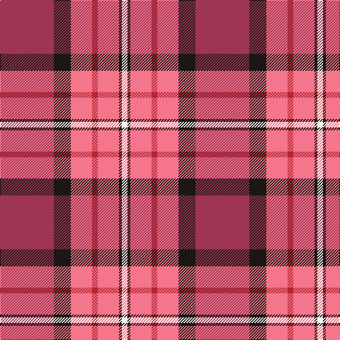 DR/76 K24 LR30 R8 LR30 K4 W/8 tartan Tartan detail