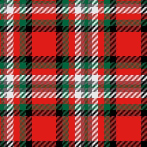 G/12 N12 LN20 R20 G20 K20 R/80 tartan Tartan detail