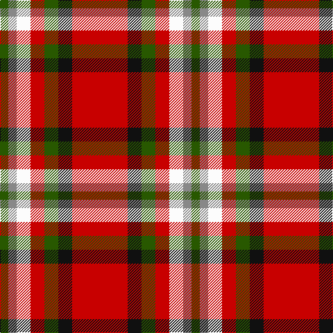 G/12 N12 W20 R20 G20 K20 R/80 tartan Tartan detail