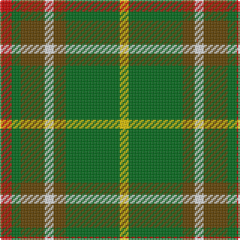 R/8 G6 T16 LN6 T8 G36 Y/6 tartan Tartan detail