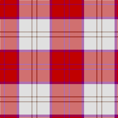 R/16 P4 R48 P10 LN50 LT4 LN/16 tartan Tartan detail