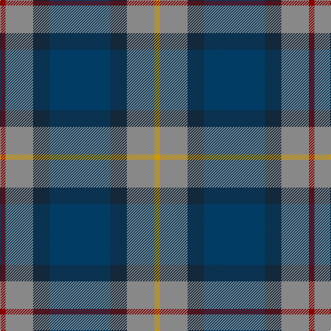 DR/8 N40 DN24 DB88 DN24 N40 DY/8 tartan Tartan detail