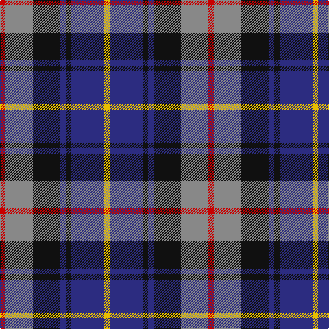R/8 N40 K40 DB8 K8 DB48 Y/8 tartan Tartan detail