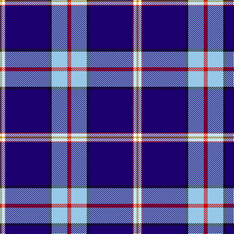 DY/4 W6 R2 DB88 K6 LB32 R/8 tartan Tartan detail