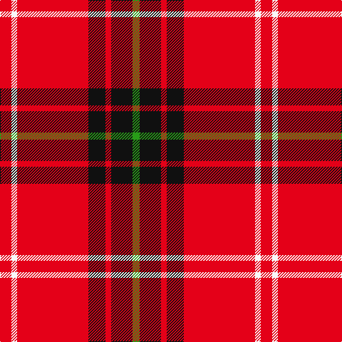 G/10 K30 R8 K24 R100 W8 R/16 tartan Tartan detail