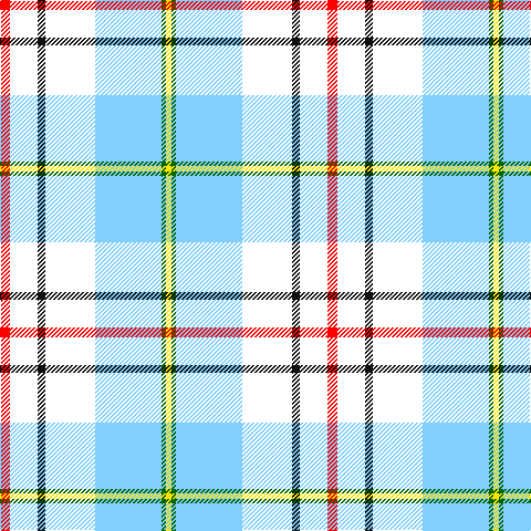R/9 W25 K7 W45 LB60 G4 Y/5 tartan Tartan detail