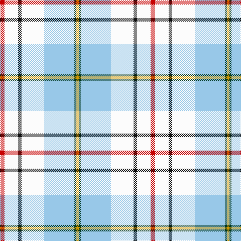 DY/5 DG4 LB60 W45 K7 W27 R/9 tartan Tartan detail