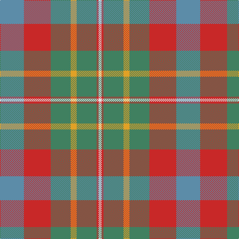 B/48 R54 G40 Y12 G40 R4 LN/6 tartan Tartan detail