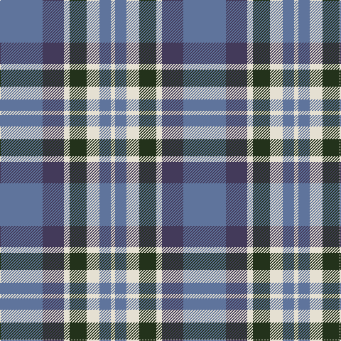 B/60 N30 W8 K24 W18 B16 W/6 tartan Tartan detail