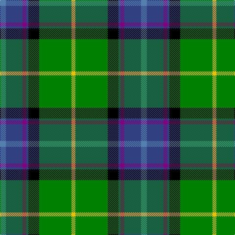 Ba/12 B34 P8 B4 K22 G66 Y/8 tartan Tartan detail
