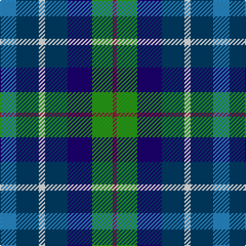 B/16 DBa22 W6 DBa22 DB24 G20 DR/4 tartan Tartan detail
