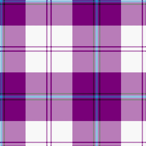 B/8 P4 K4 P68 W68 P4 W/10 tartan Tartan detail