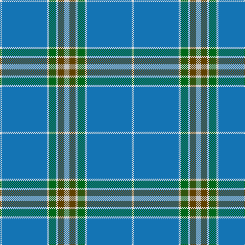 LN/4 B88 LN4 G14 LN4 T12 N/10 tartan Tartan detail