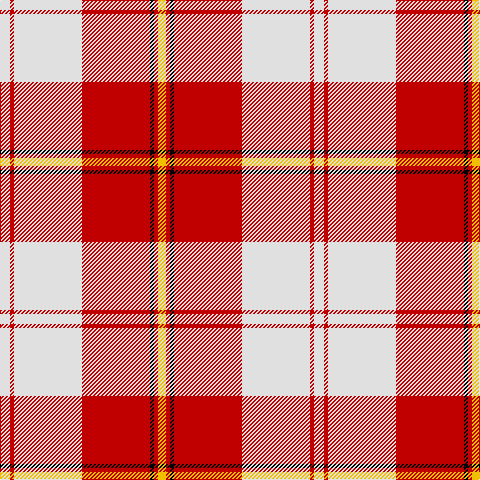LN/10 R4 LN68 R68 K4 R4 Y/8 tartan Tartan detail