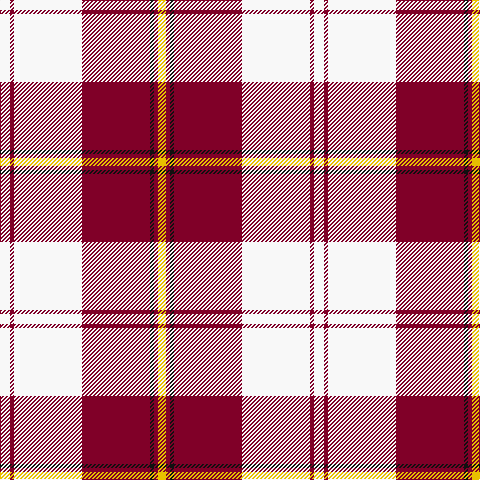 W/10 DR4 W68 DR68 K4 DR4 Y/8 tartan Tartan detail